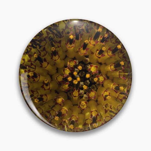 Aperçu de l'œuvre Au plus profond du tournesol créée et vendue par colliophoto.