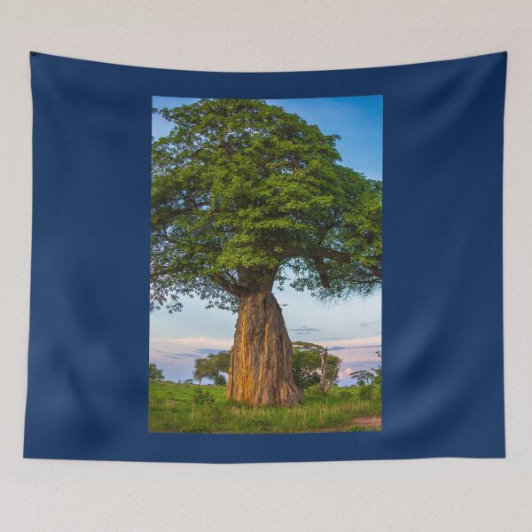 Item preview, Tanzania. Tarangire National Park. Baobab Tree. Sunset. designed and sold by vadim19.