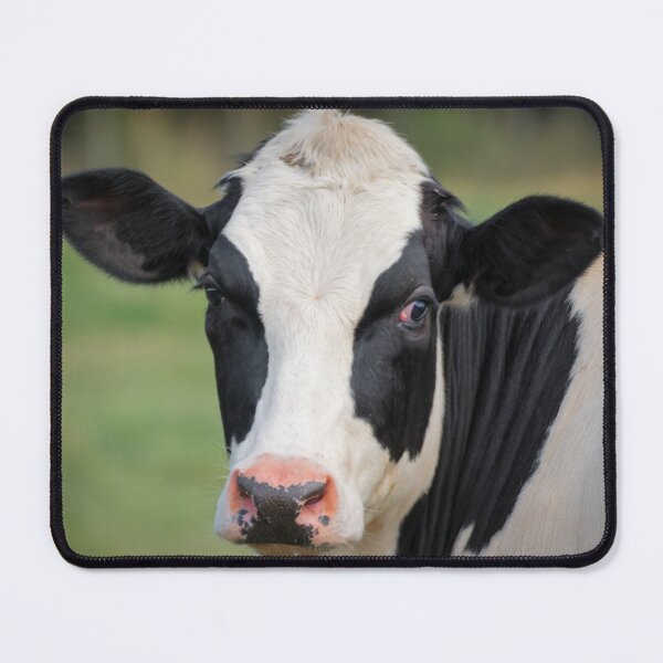 Item preview, Oh Hello . . .  designed and sold by JEZ22.