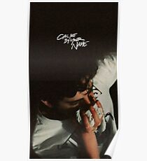 timothee chalamet Poster