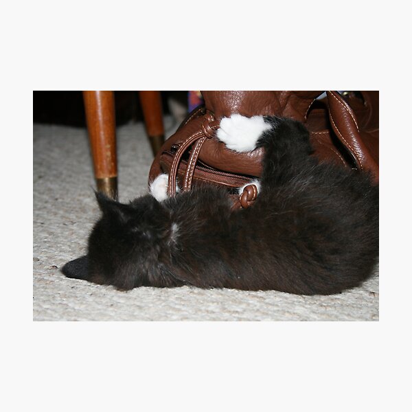 Artikelvorschau, Lilly playing with a Purse entworfen und verkauft von Fern Design.