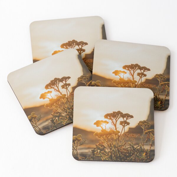 Item preview, Flower shadows at sunset time designed and sold by LiguxKon.