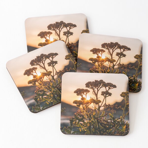 Item preview, Flower shadows at sunset time designed and sold by LiguxKon.