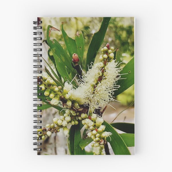 Item preview, Yellow Melaleuca Flower designed and sold by Designsbygroovy.