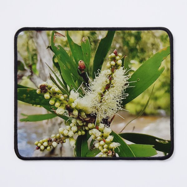 Item preview, Yellow Melaleuca Flower designed and sold by Designsbygroovy.