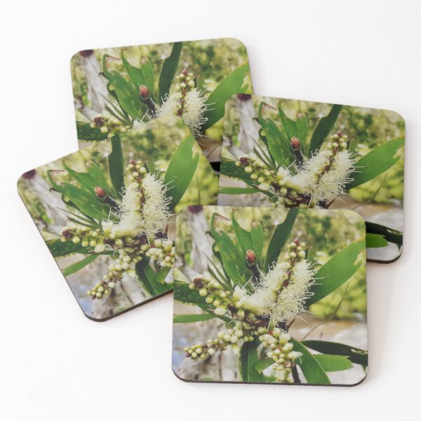 Item preview, Yellow Melaleuca Flower designed and sold by Designsbygroovy.