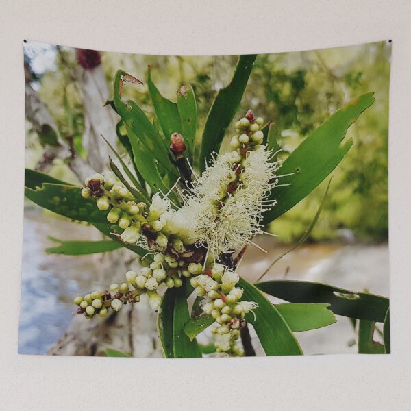 Item preview, Yellow Melaleuca Flower designed and sold by Designsbygroovy.