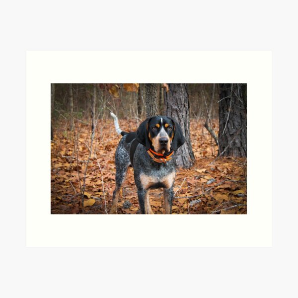 watercolor art digital download printable dog poster American coonhound print nursery decor dog wall art dog painting