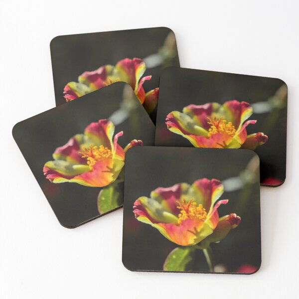 Item preview, Summer colours altogether in one designed and sold by colliophoto.