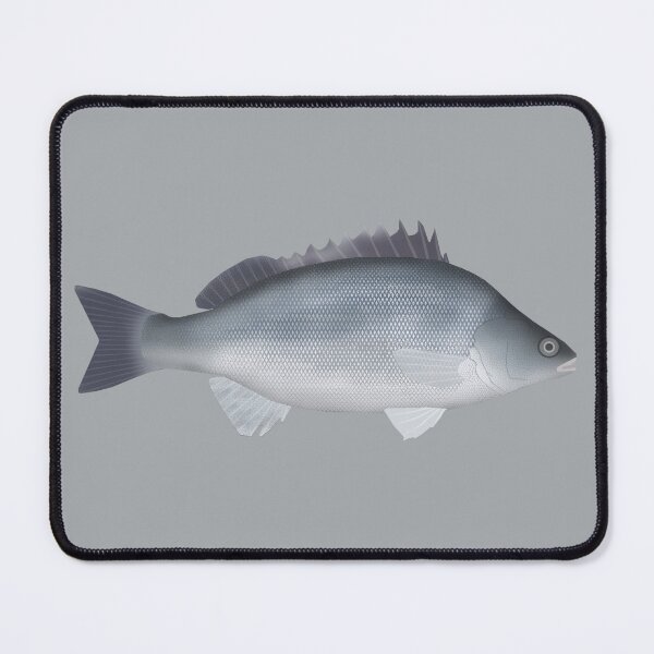 Item preview, Silver Perch designed and sold by fishfolkart.