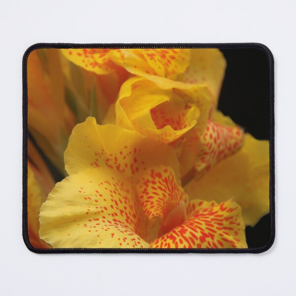 Item preview, Full Bloom Canna Lily  designed and sold by heatherfriedman.