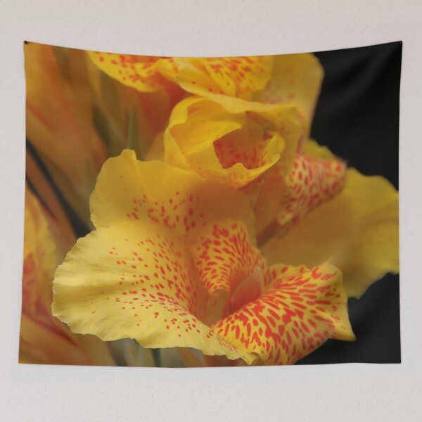 Item preview, Full Bloom Canna Lily  designed and sold by heatherfriedman.