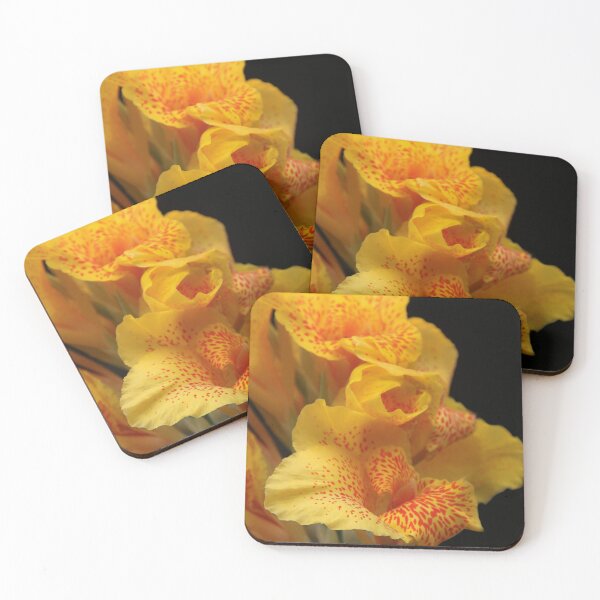 Item preview, Full Bloom Canna Lily  designed and sold by heatherfriedman.