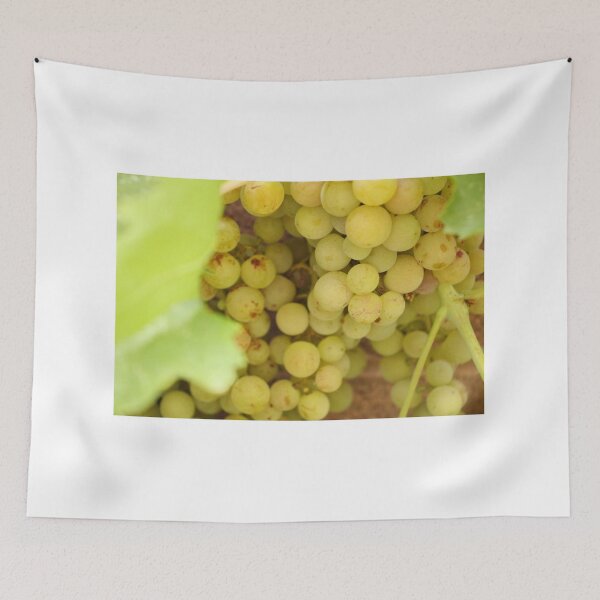 Item preview, Green Grapes designed and sold by matthewsimon1.