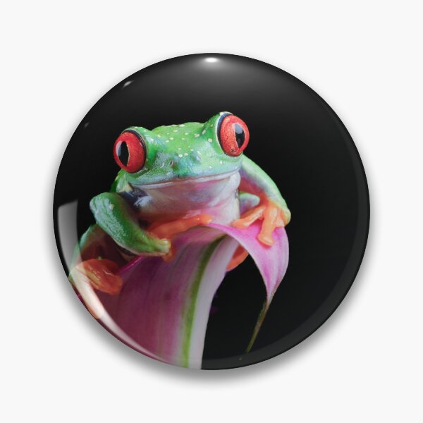 Artikelvorschau, Rotäugiger Frosch 2 entworfen und verkauft von Karen O'Reilly.