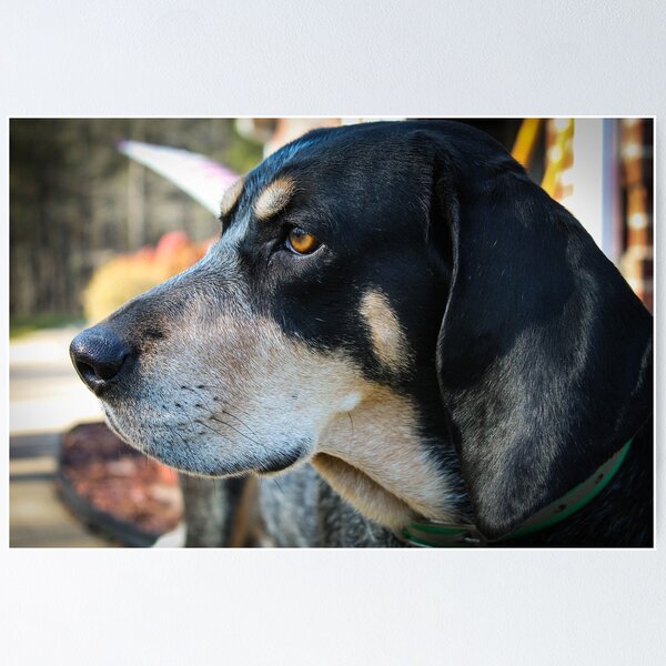 Item preview, Bluetick Coonhound Side Profile designed and sold by Tollbridge.