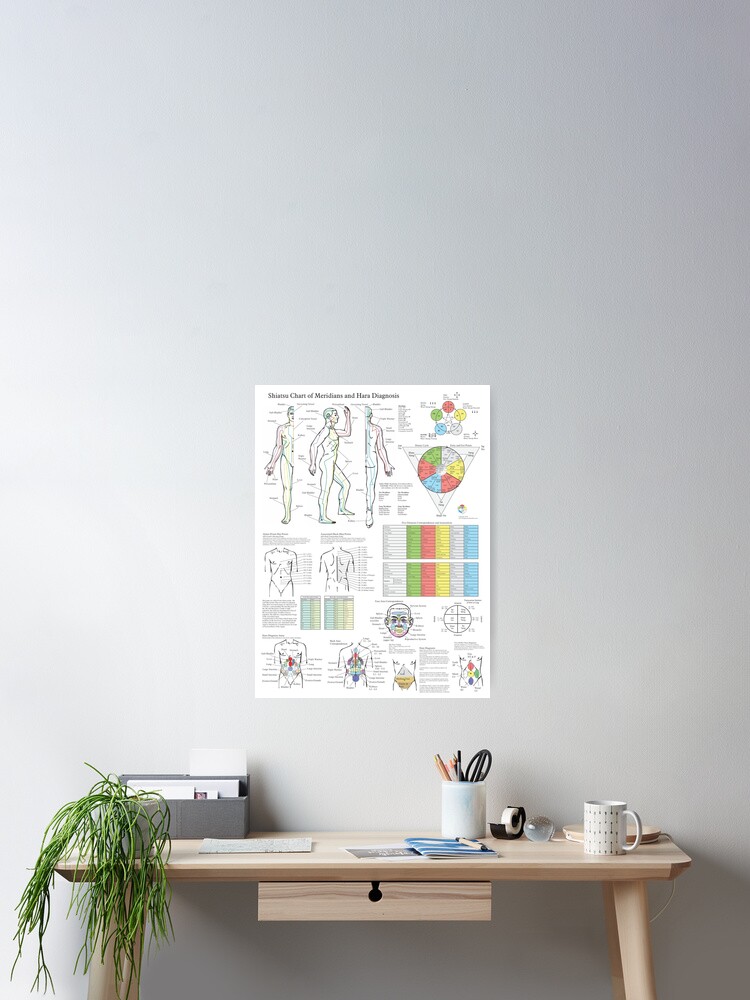 Shiatsu Chart of Acupuncture Meridians and Hara Diagnosis Poster
