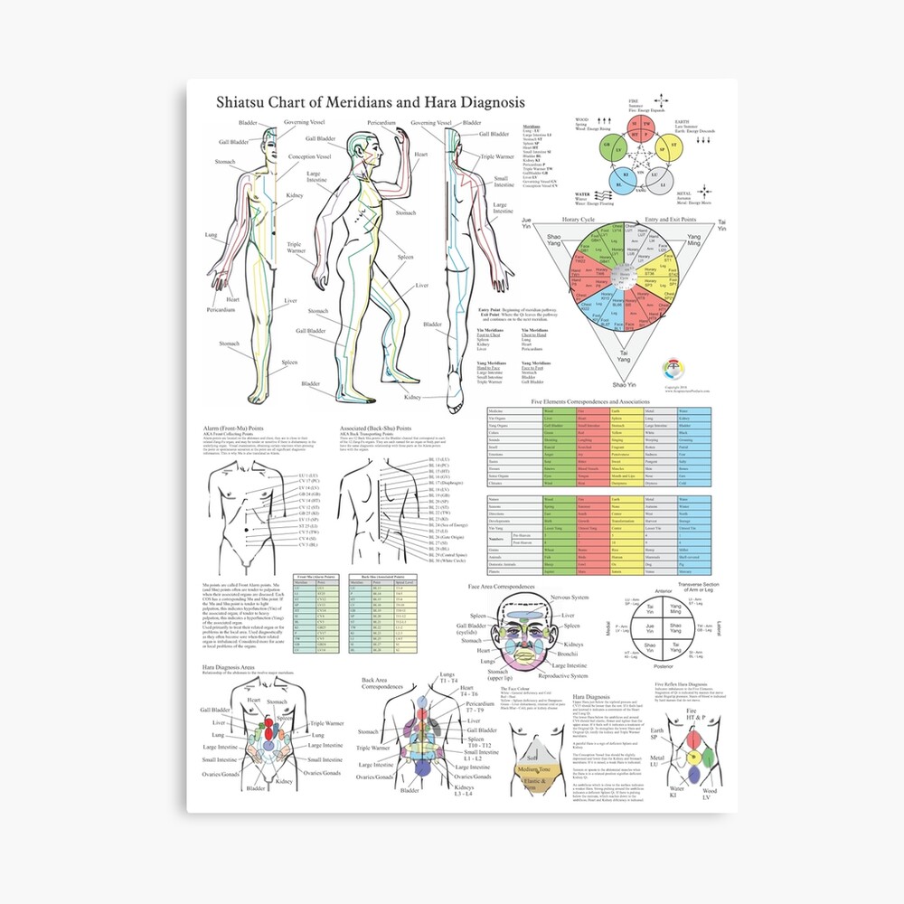 Shiatsu Chart of Acupuncture Meridians and Hara Diagnosis Poster