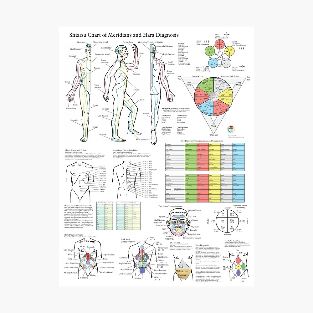 Shiatsu Chart of Acupuncture Meridians and Hara Diagnosis Poster