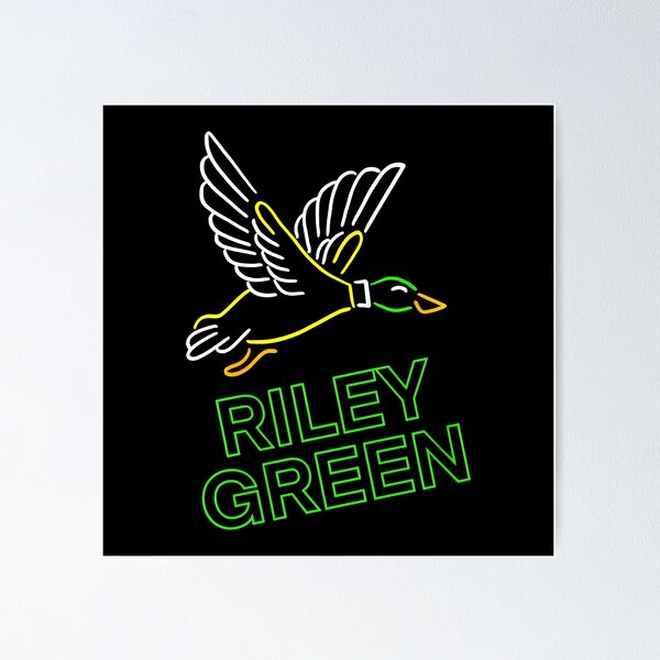 Item preview, green flying duckbirds designed and sold by putrisetinilafi.