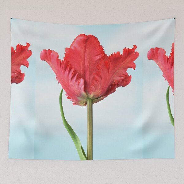 Item preview, Tulipa  'Garden Fire'   Parrot Tulip  designed and sold by Chris Burrows.