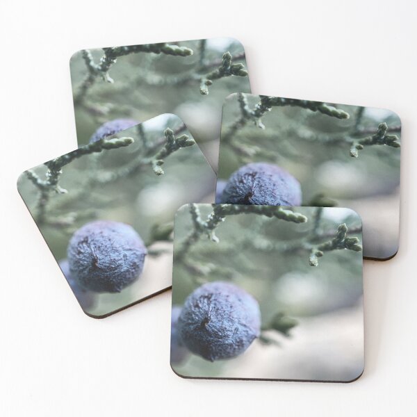 Item preview, Juniper Berries designed and sold by Jason Tompkins.