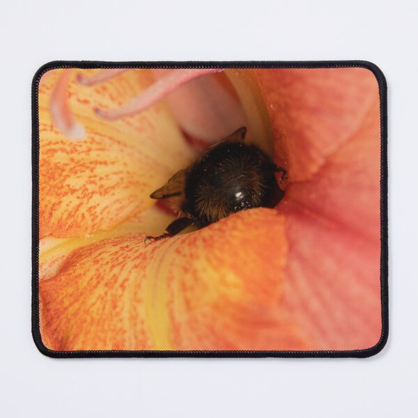Item preview, Bee butt orange flower  designed and sold by ClaireGPhotos.