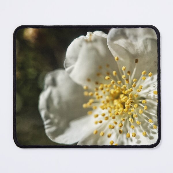 Item preview, Canyon Rose designed and sold by Jason Tompkins.