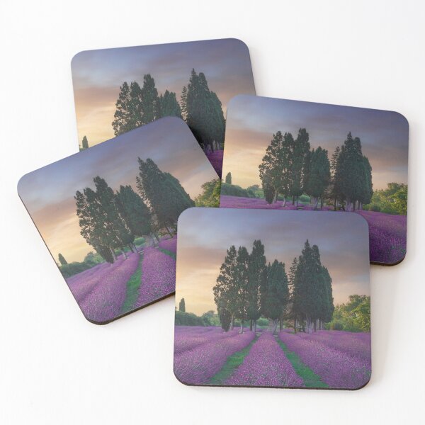 Item preview, Lavender field and cypress trees. Bolgheri, Tuscany, Italy designed and sold by Stefano Orazzini.