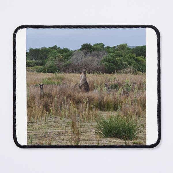 Item preview, kangaroo, animals, australia, marsupials, australian animals. designed and sold by Roslyn1978.