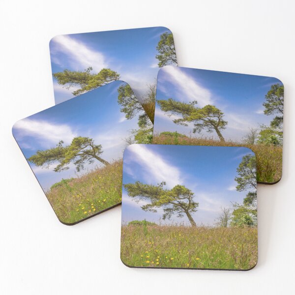 Item preview, Waseley Hills Favourite Tree. designed and sold by StephenRphoto.
