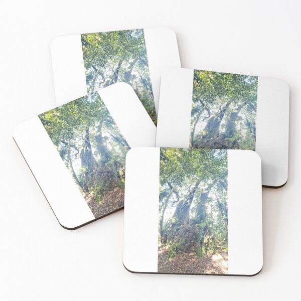 Item preview, trees, rainforrest, roots, green, hiking, pathways, landscape designed and sold by Roslyn1978.