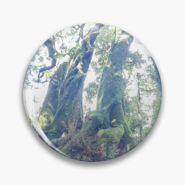 Item preview, trees, rainforrest, roots, green, hiking, pathways, landscape designed and sold by Roslyn1978.