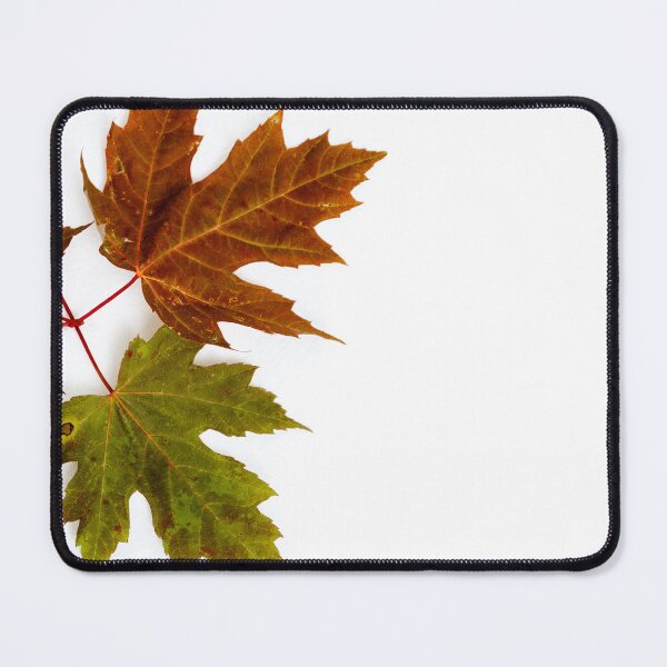 Item preview, Fall Leaves designed and sold by ABP-Still-Life.