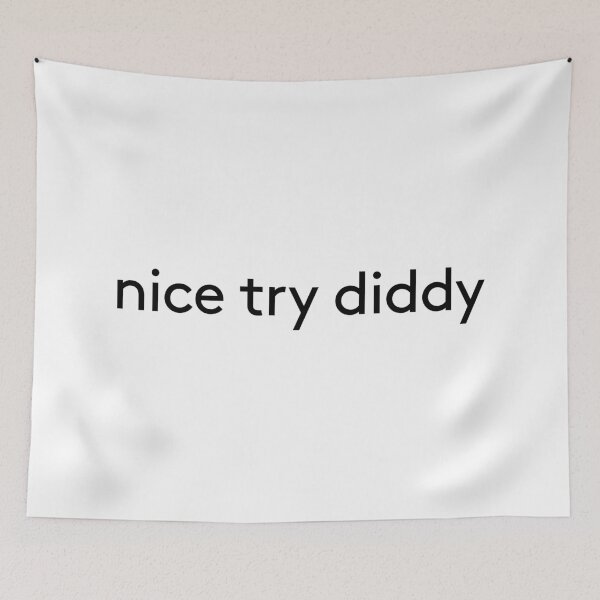 Item preview, nice try diddy designed and sold by QthePhotog.