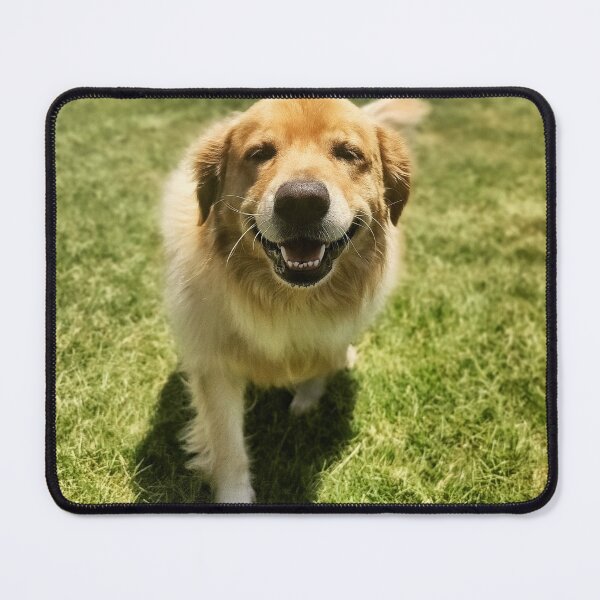 Item preview, Happy dawg designed and sold by Dank3rb3ll.