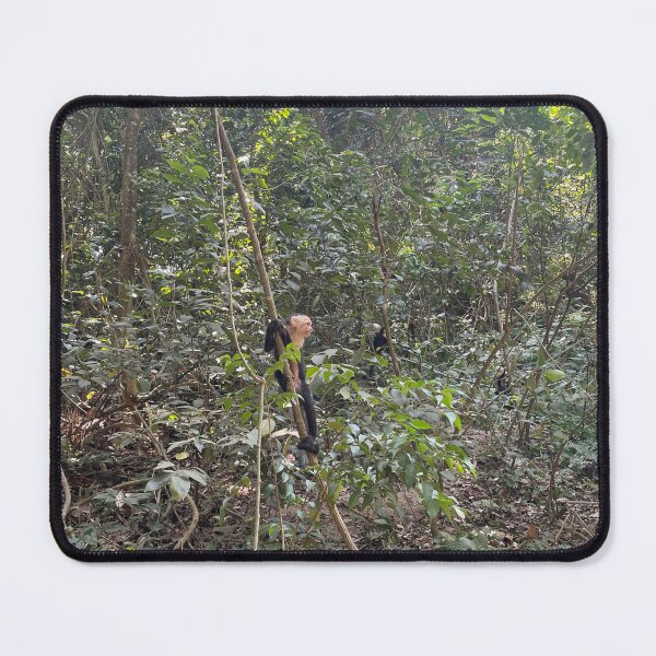 Item preview, Capuchin Monkey in Roatán designed and sold by aarroyo209.