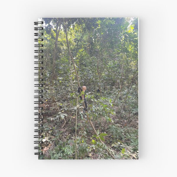 Item preview, Capuchin Monkey in Roatán designed and sold by aarroyo209.