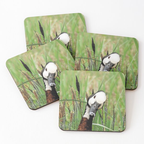 Item preview, Whistling Duck designed and sold by Czerra.