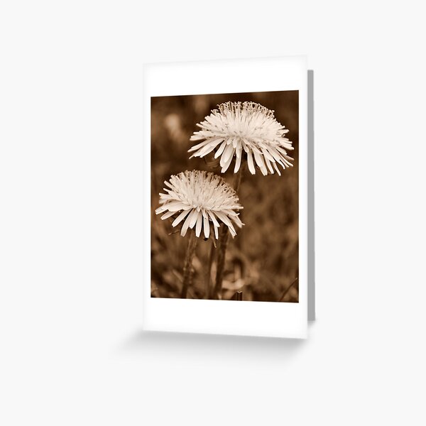Item preview, Togetherness designed and sold by Sheri Nye.