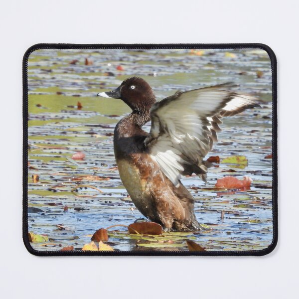 Item preview, Hardhead duck big stretch designed and sold by Mark Grimsley.