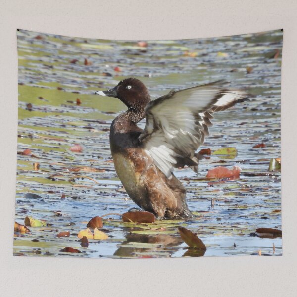 Item preview, Hardhead duck big stretch designed and sold by Mark Grimsley.