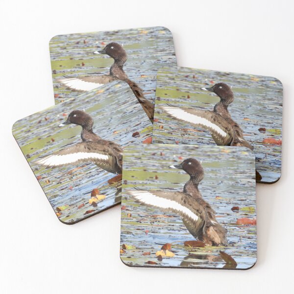 Item preview, Hardhead duck big stretch in lagoon designed and sold by Mark Grimsley.