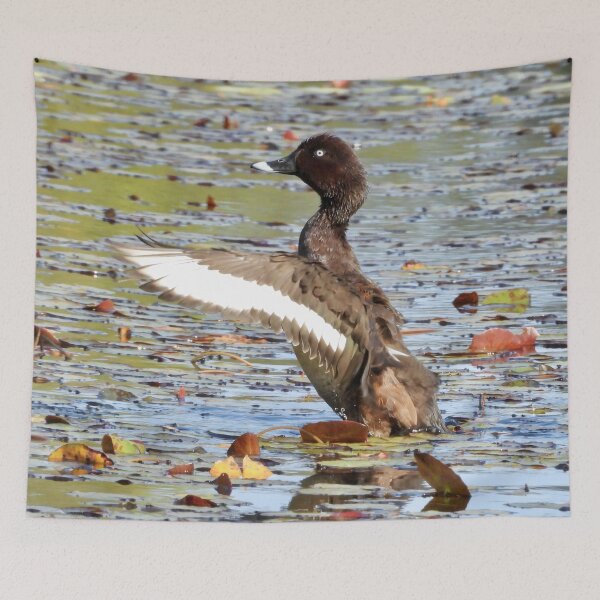Item preview, Hardhead duck big stretch in lagoon designed and sold by Mark Grimsley.