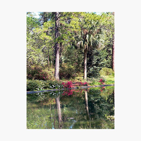 Item preview, Reflections of McClay Gardens designed and sold by WTBird.