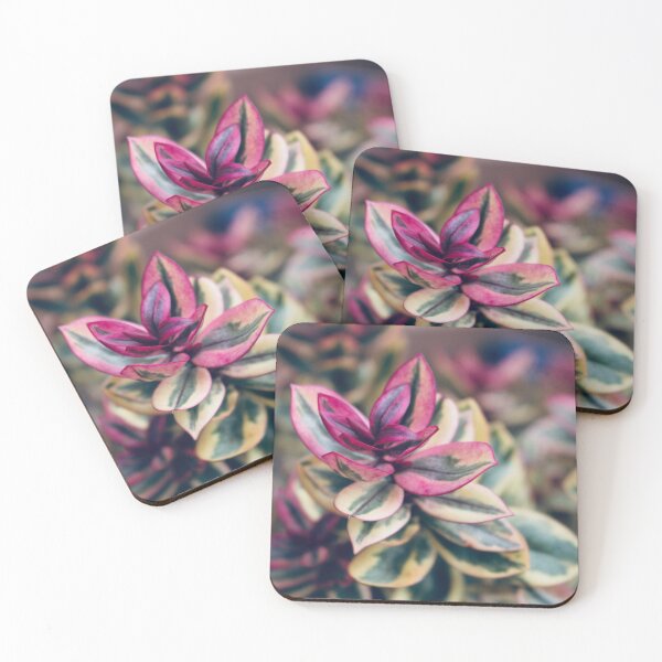 Item preview, Foliage in its clear light designed and sold by RT-FlowerShop.