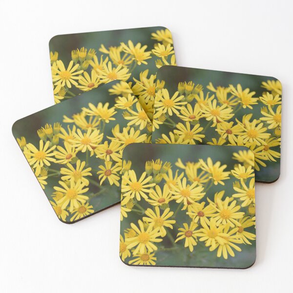 Item preview, Yellow wild flowers. Ragwort designed and sold by CatherineMoore4.