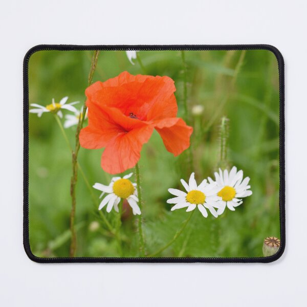 Item preview, Wild flowers. Poppy and daises designed and sold by CatherineMoore4.
