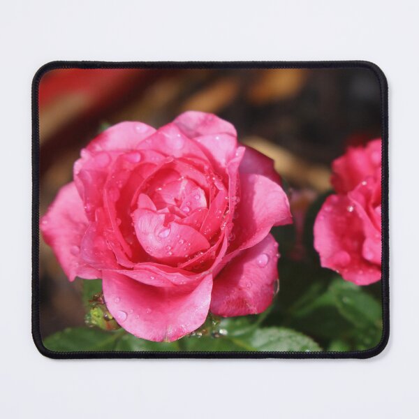 Item preview, Waterdrops on Roses  designed and sold by RT-FlowerShop.