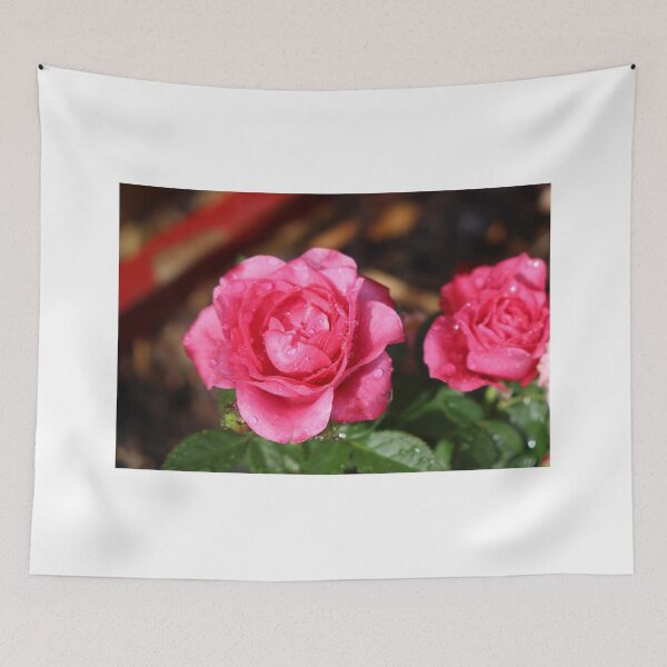 Item preview, Waterdrops on Roses designed and sold by RT-FlowerShop.